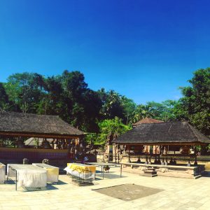 Temple de Tirta Empul- Tampaksiring - Bali