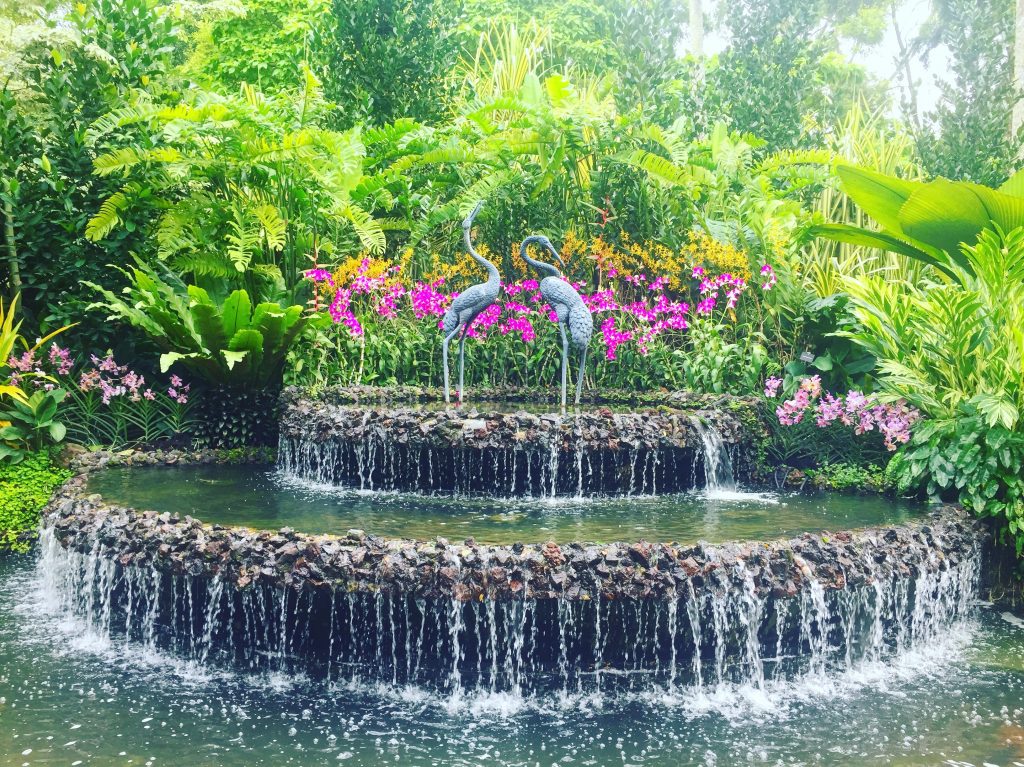 Singapour - Botanic Garden